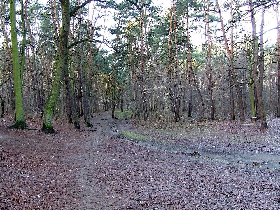 Bielany - Park Bielański